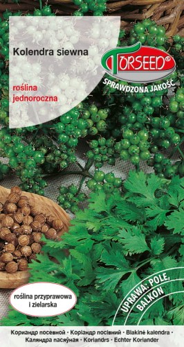 Kolendra siewna TORS 14004355PA_14140610XA.jpg