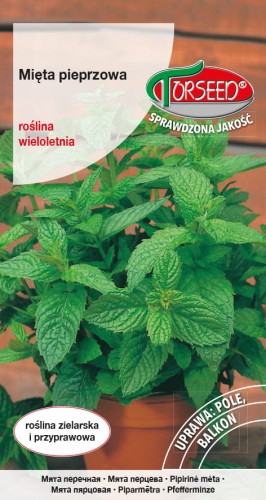 Mięta pieprzowa TORS 13014171FM.jpg