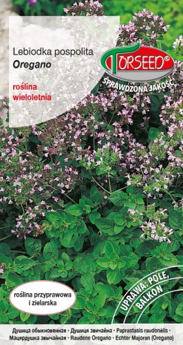 Oregano Lebiodka TORS 10047175PA.jpg
