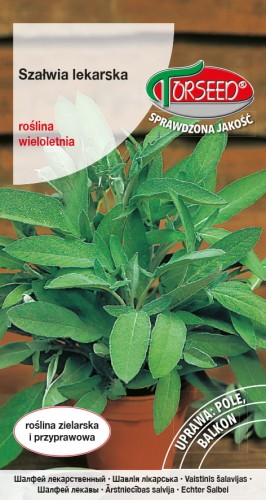 Szałwia lekarska TORS 10047915PA.jpg