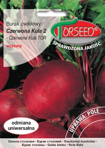 Burak ćw. Czerwona Kula 2.jpg