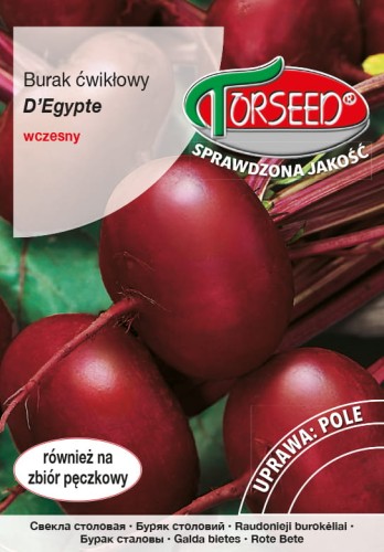 Burak ćwikłowy D Egypte HP 62 55 51 spez.01_VS.jpg