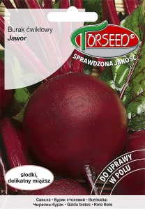 Burak ćwikłowy Jawor 10g Torseed nasiona
