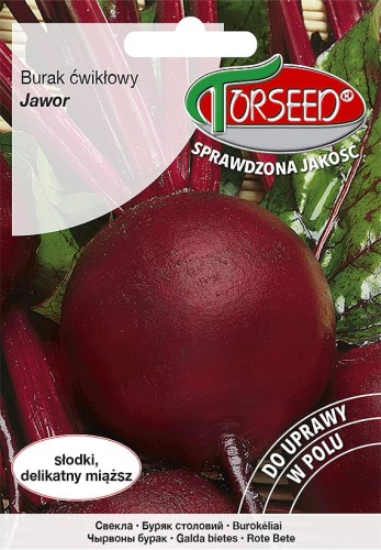 Burak ćw. Jawor-TOR588-09g.jpg