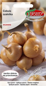 Cebula Szalotka Toto 1g nasiona Torseed