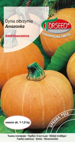 Dynia Amazonka TORS 14017429PA_VS.jpg