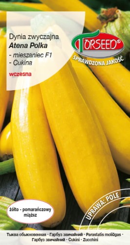Cukinia Atena Polka TORS 14239723PA_VS.jpg