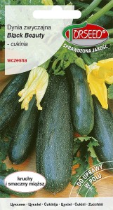 Dynia zwyczajna - Cukinia Black Beauty 2g