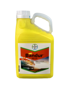 BANDUR 600 SC 5L