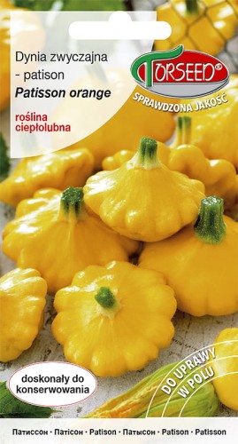 Patison Pattison orange-TOR583-09 (1).jpg