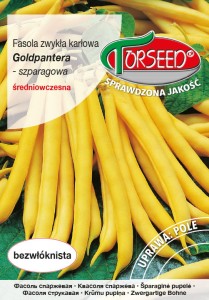 Fasola karłowa szparagowa Goldpantera 30g Torseed nasiona