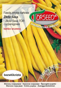 Fasola karłowa szparagowa Złota Saxa 30g