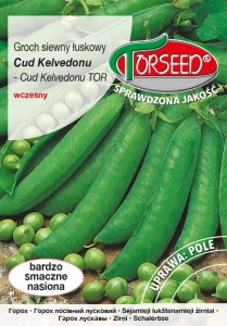 Groch siewny łuskowy Cud Kelvedonu 50g