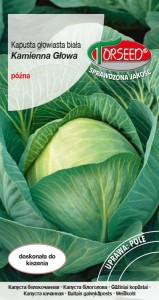 Kapusta Kamienna Głowa 2g