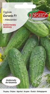 Ogórek gruntowy kwaszeniak Corveta F1 3g nasiona Torseed