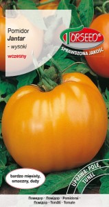 Pomidor wysoki Jantar 0,2g nasiona Torseed