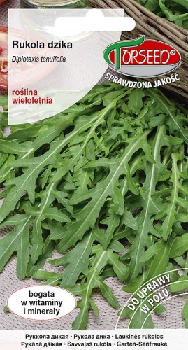 rukola dzika-TOR492-09.jpg