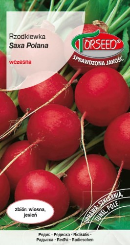 Rzodkiewka Saxa Polana TORS 14168235PA_VS.jpg