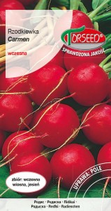 Rzodkiewka Carmen 165z taśma