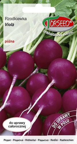 rzodkiewka viola-TOR500-09.jpg