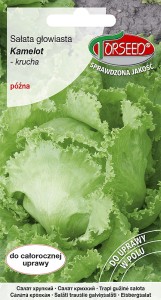 Sałata głowiasta krucha Kamelot 0,5g nasiona Torseed