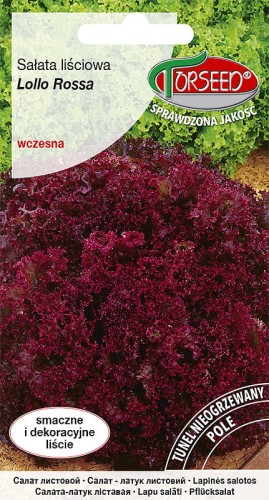 salata lisciowa lollo rossa-TOR485-09.jpg