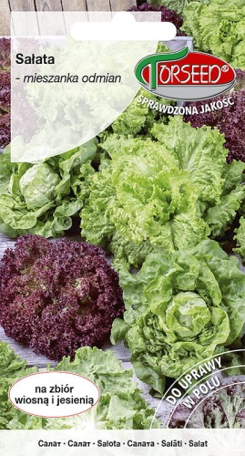 salata mieszanka odmian-TOR509-09.jpg