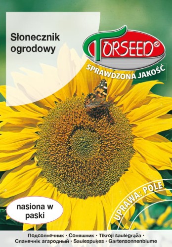 Słonecznik ogrodowy TORS 13 05 31_VS.jpg