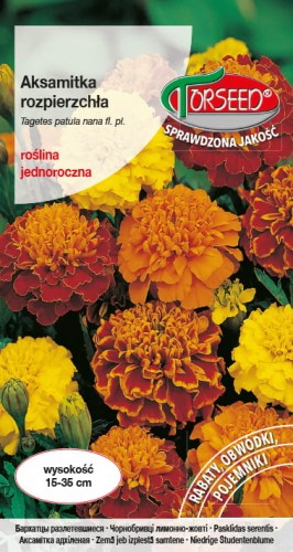 Aksamitka rozpierzchła mix TORS 14007780PA_VS (1).jpg