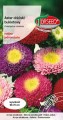 Aster bukietowy mix TORS 10084324PA_VS (1).jpg