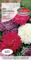 Aster chryzantemowy mix TORS 10084755FM_VS (1).jpg