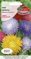 aster igielkowy typ Igel mix-TOR425-09.jpg