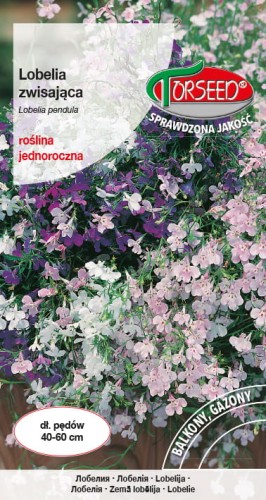 Lobelia zwisająca mix TORS 14009473PA_VS (1).jpg
