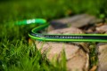 green-edit_rgb_web.jpg-2_Easy-Resize.com.jpg