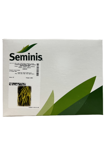 Fasola_unidor_seminis.png