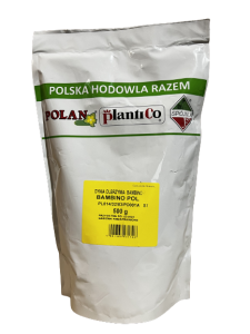 Dynia olbrzymia Bambino 500g 0,5 kg Polan
