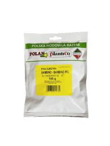 Dynia olbrzymia Bambino 100g Polan