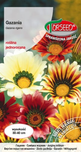 Gazania TORS 10084761PA_VS (1).jpg