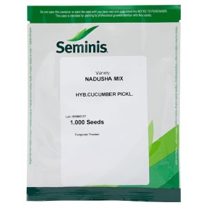 OGÓREK GRUNTOWY NADUSHA MIX F1 1000 nasion 1T