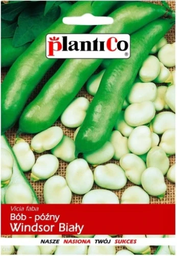 Nasiona-Bob-Windsor-Bialy-50g-PlantiCo.png