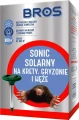sonic-solarny-bros.jpg