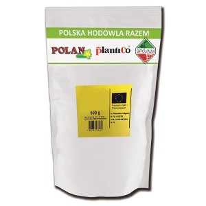 Fasola Zwykła Karłowa Żółta Goldpantera 500g PlantiCo