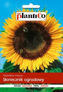 Słonecznik ogrodowy 10g PlantiCo nasiona