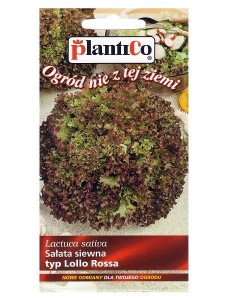 Sałata Liściowa Lollo rossa 0,5g PlantiCo