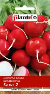 Rzodkiewka  Saxa Polana 10g PlantiCo
