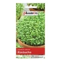 RZEZUCHA-ogrodowa10-g-PLANTICO.jpg
