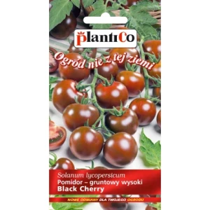 Pomidor koktajlowy Black Cherry 0,2g PlantiCo nasiona
