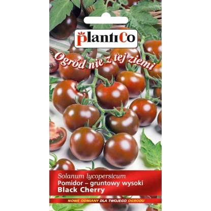 pomidor black cherry 0,2g plantico.jpg