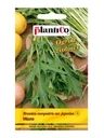 Mizuna Mizuna / Musztardowiec  0,5g PlantiCo
