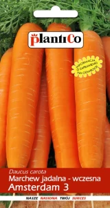 Marchew jadalna Amsterdam 3 5g PlantiCo